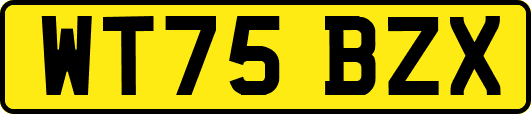 WT75BZX