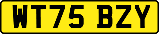 WT75BZY