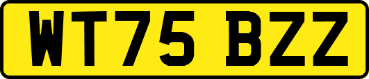 WT75BZZ