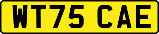 WT75CAE