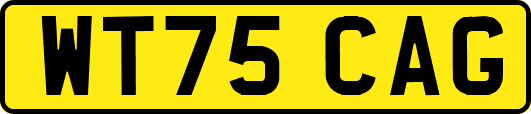 WT75CAG