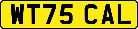 WT75CAL