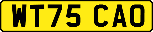 WT75CAO