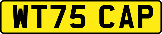 WT75CAP