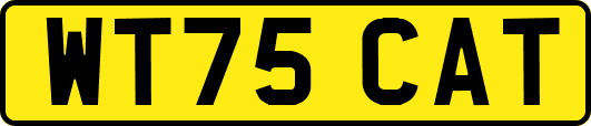 WT75CAT
