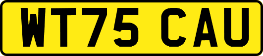 WT75CAU