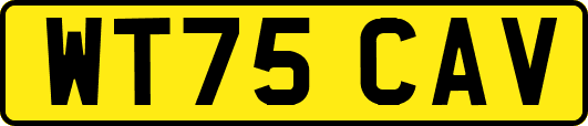 WT75CAV