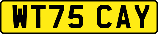 WT75CAY