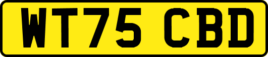 WT75CBD