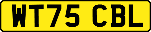 WT75CBL