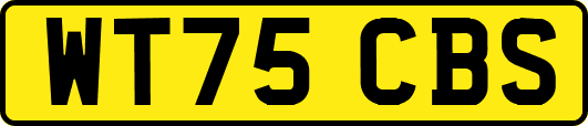 WT75CBS