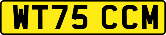 WT75CCM