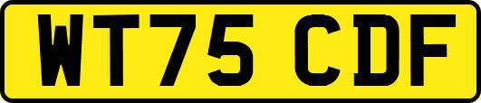 WT75CDF