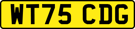 WT75CDG