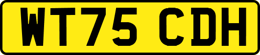 WT75CDH