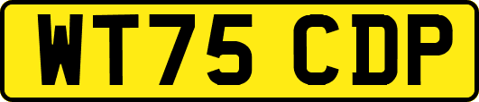 WT75CDP