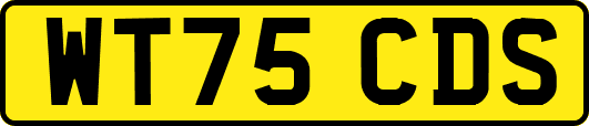 WT75CDS