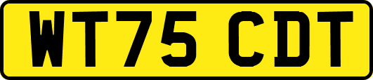 WT75CDT