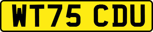 WT75CDU