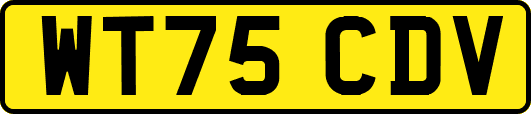 WT75CDV