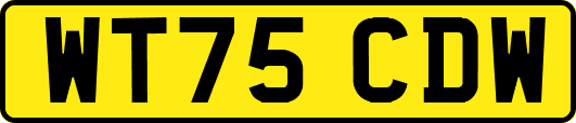 WT75CDW