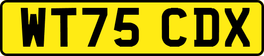 WT75CDX