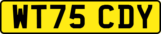 WT75CDY