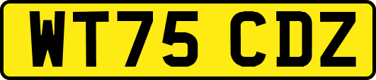 WT75CDZ