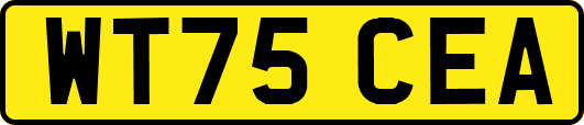WT75CEA