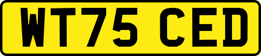 WT75CED