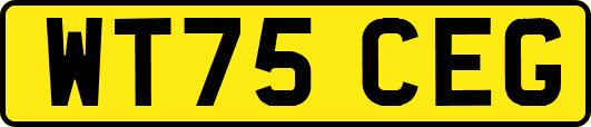 WT75CEG
