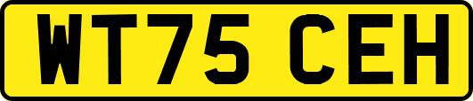 WT75CEH