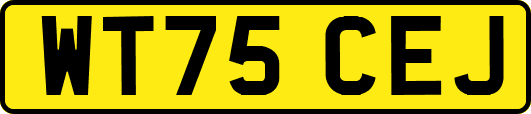 WT75CEJ