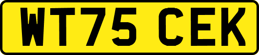 WT75CEK