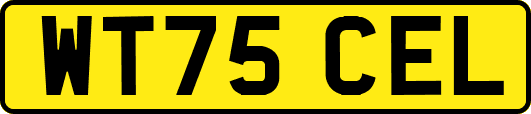 WT75CEL