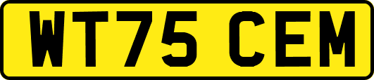 WT75CEM