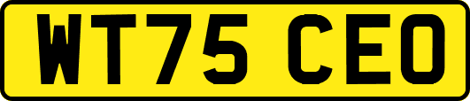 WT75CEO