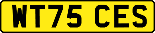 WT75CES