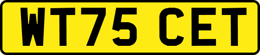 WT75CET