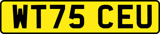 WT75CEU