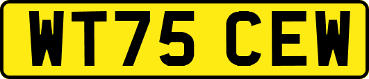WT75CEW