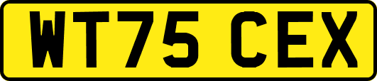 WT75CEX