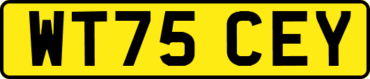WT75CEY