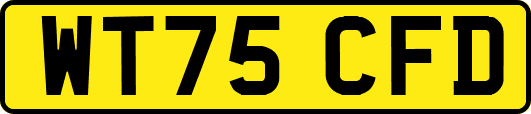 WT75CFD