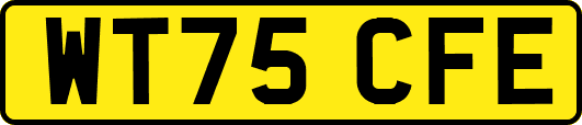 WT75CFE