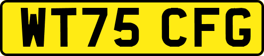 WT75CFG