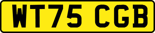 WT75CGB