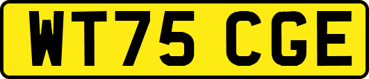 WT75CGE