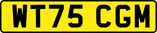 WT75CGM