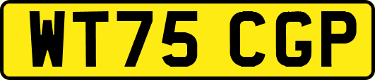 WT75CGP